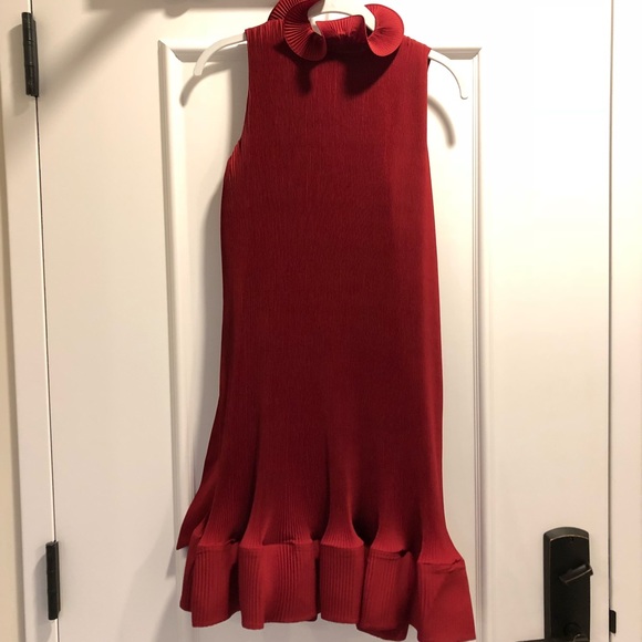 2019 Collection - Tibi Red Plisse Pleated Dress - Picture 4 of 8